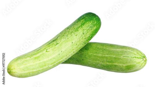 Cucumber vegetable isolated on white background.