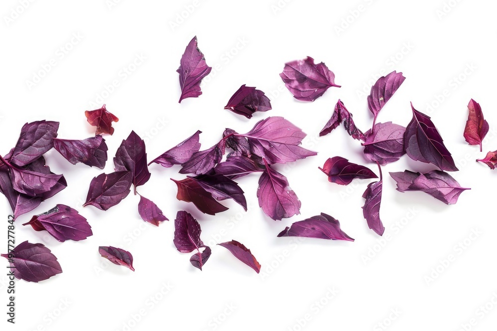 Close-up shot of a bunch of purple leaves on a white surface, great for backgrounds or decoration Close-up shot of a bunch of purple leaves on a white surface, great for backgrounds or decoration