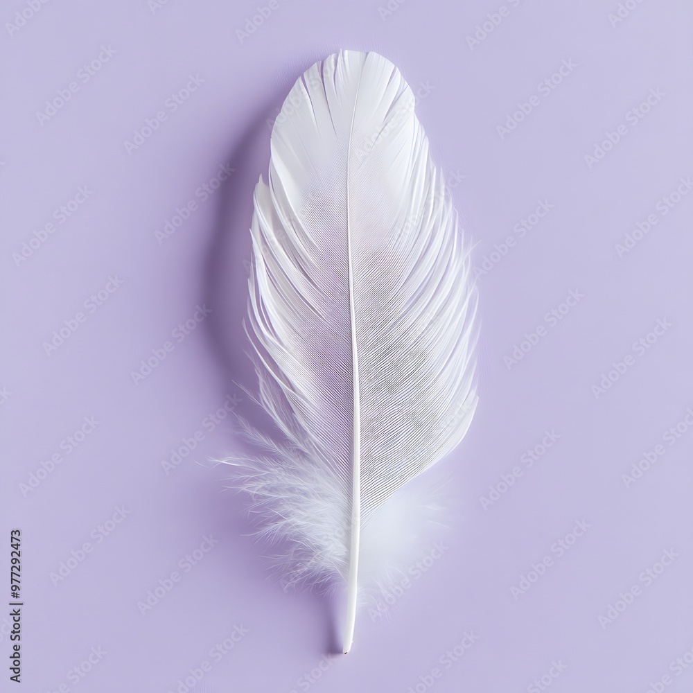 48. A beautiful white feather isolated on a soft lavender background 48. A beautiful white feather isolated on a soft lavender background