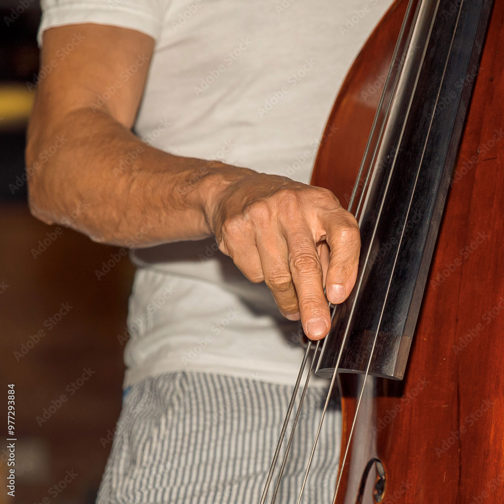 Musician playing double bass, closeup of hands on strings and instrument, detailed view concept Musician playing double bass, closeup of hands on strings and instrument, detailed view concept