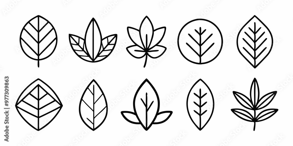 A set of 10 simple line art leaf illustrations, perfect for adding a touch of nature to your designs. These versatile icons are ideal for branding, social media. A set of 10 simple line art leaf illustrations, perfect for adding a touch of nature to your designs. These versatile icons are ideal for branding, social media.