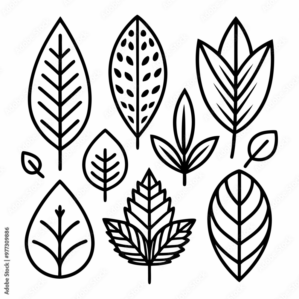 A set of nine black and white line art leaf illustrations, perfect for adding a natural touch to your designs. Use these simple and elegant designs to create unique patterns, backgrounds. A set of nine black and white line art leaf illustrations, perfect for adding a natural touch to your designs. Use these simple and elegant designs to create unique patterns, backgrounds.