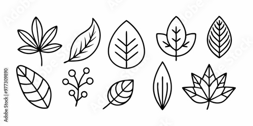 A set of 9 hand-drawn leaf illustrations, perfect for adding a touch of nature to your designs. Each leaf is unique and detailed, making them ideal for use in patterns, branding.