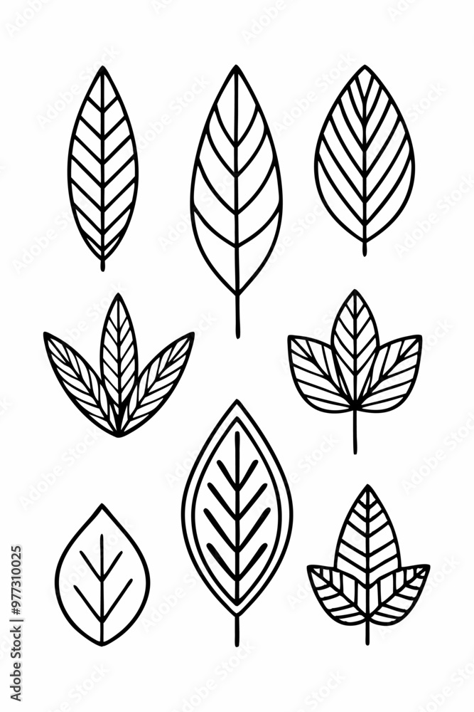 Set of eight hand-drawn leaves, perfect for adding a touch of nature to your designs. These simple yet elegant illustrations are ideal for creating patterns, borders. Set of eight hand-drawn leaves, perfect for adding a touch of nature to your designs. These simple yet elegant illustrations are ideal for creating patterns, borders.