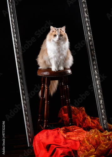 Regal Cat Sitting on a Stool in a Dramatic Setting