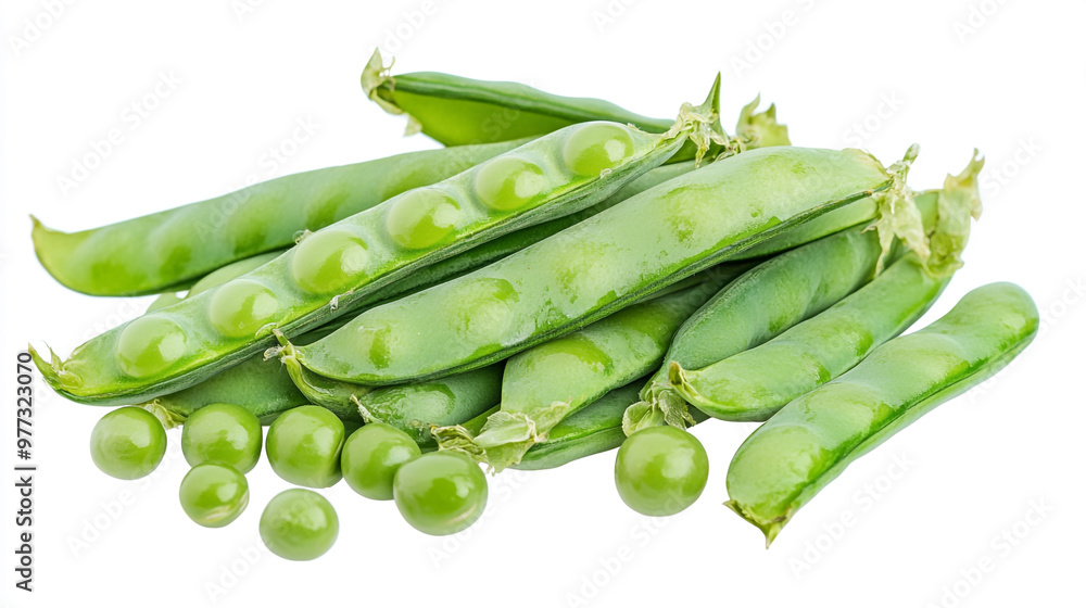 Fresh green peas in their pods displayed on a white background showcasing a harvest Fresh green peas in their pods displayed on a white background showcasing a harvest