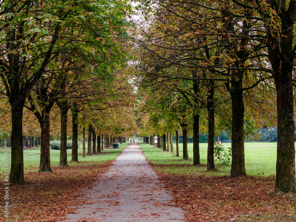 Fototapeta premium Parco Nord, public park in Milan, Italy
