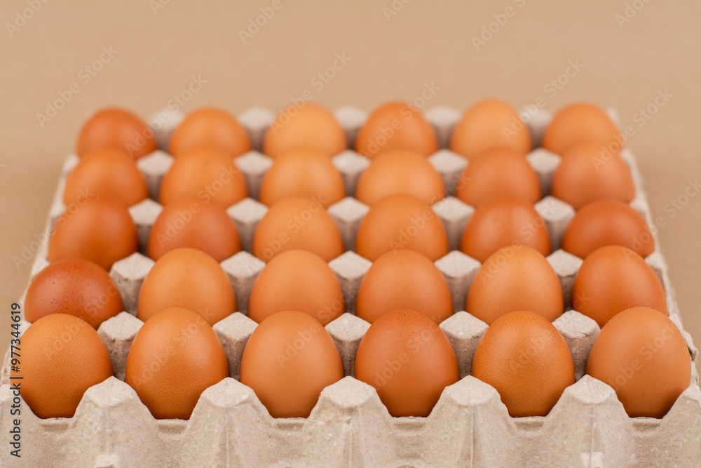Fresh, clean, orange-shelled eggs are a nutritious and high-protein food for good health. Fresh, clean, orange-shelled eggs are a nutritious and high-protein food for good health.