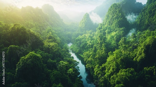 A breathtaking view of a dense forest with towering trees, lush green undergrowth, and a clear river winding through the landscape