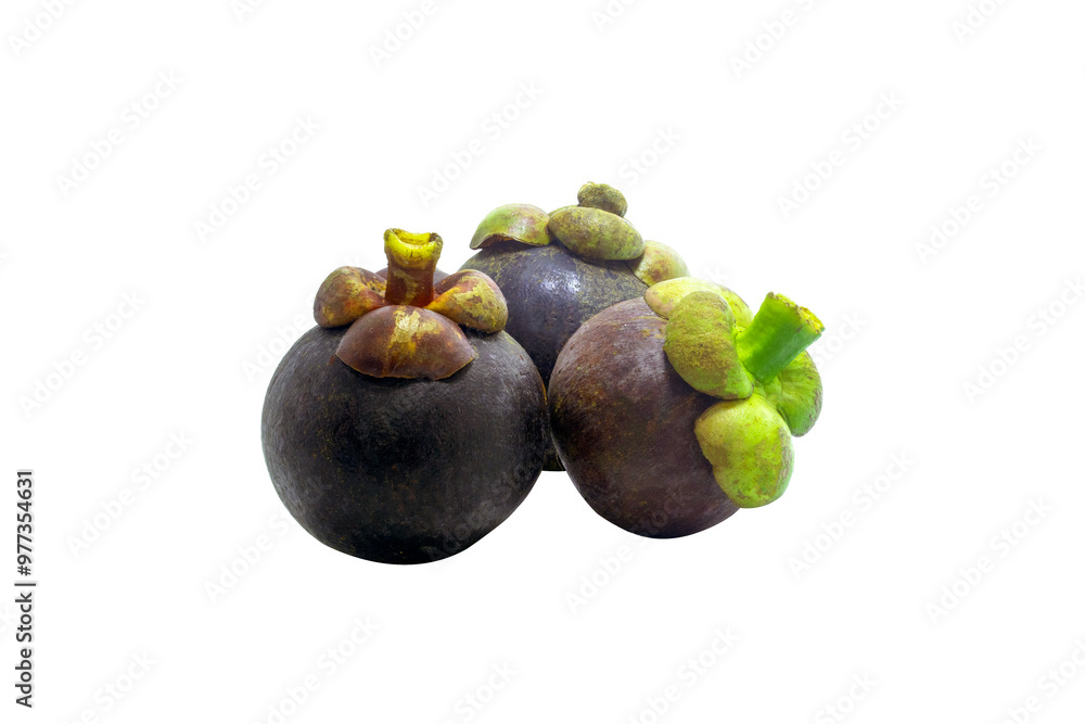 Obraz premium The dark purple Garcinia mangostana