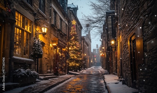 A street with a Christmas tree in the middle and snow on the ground