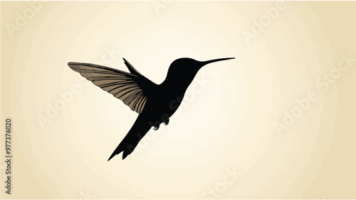 Set of black bird silhouettes. Vector elements for design.