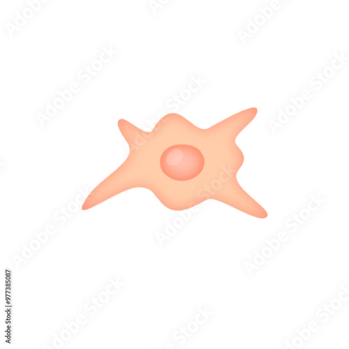 Fibroblast illustration 