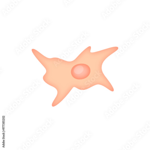 Fibroblast illustration 