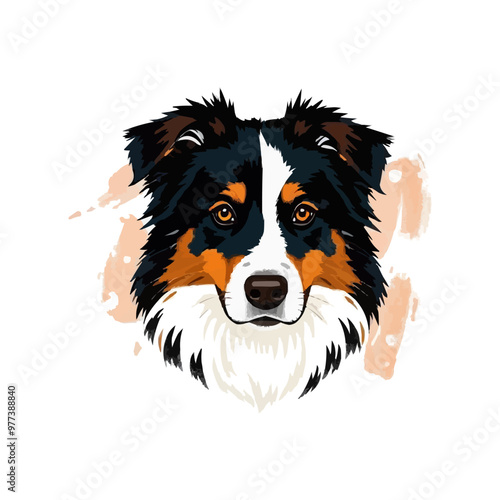 Australian shepherd dog. Vector illustration of Australian shepherd dog.