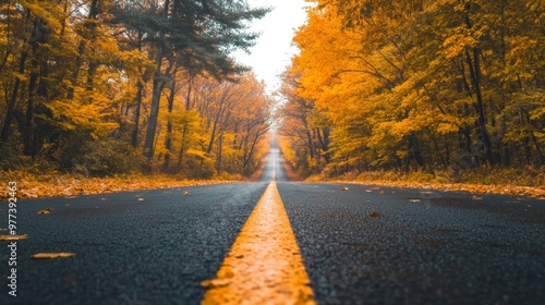 Fototapeta Naklejka Na Ścianę i Meble -  A winding road through densely wooded trees adorned in fall colors