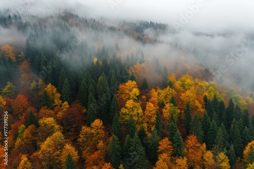 Aerial view of vibrant autumn forest with mist and fog blanketing the valley landscape