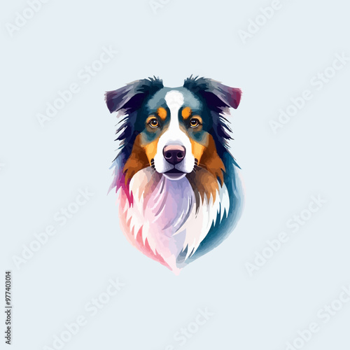 Australian shepherd dog. Vector illustration of Australian shepherd dog.