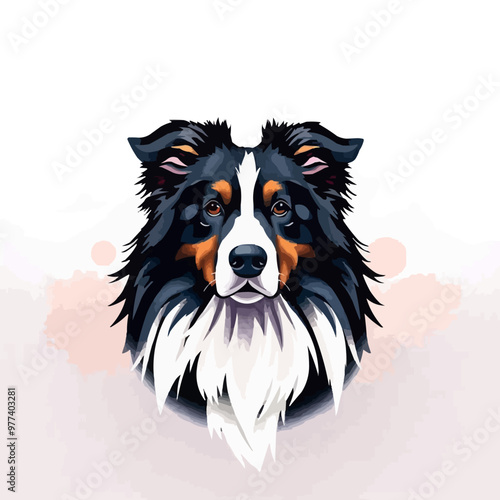 Australian shepherd dog. Vector illustration of Australian shepherd dog.