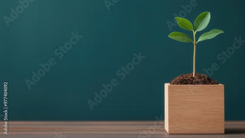 A wooden box with a plant sprouting from a graph, symbolizing natural business growth and successful development Business growth plant, Wooden box of success