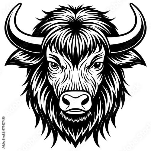 Bison with a large, shaggy head and strong shoulders vector