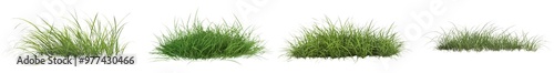 3D rendering of grass on a transparent background. photo