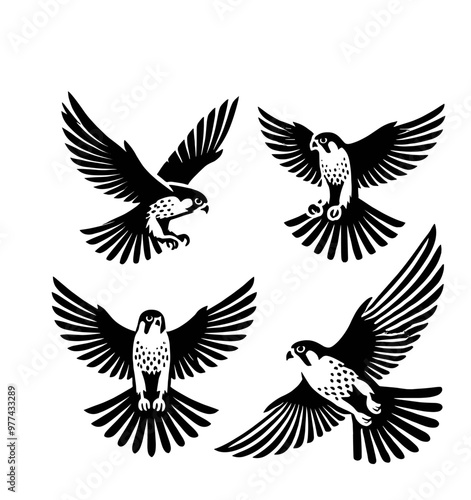 set of falcon illustration graphic design black and white vector clip art silhouette