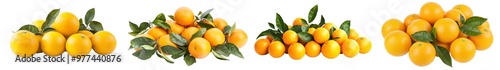 An isolated white background shows orange fruits