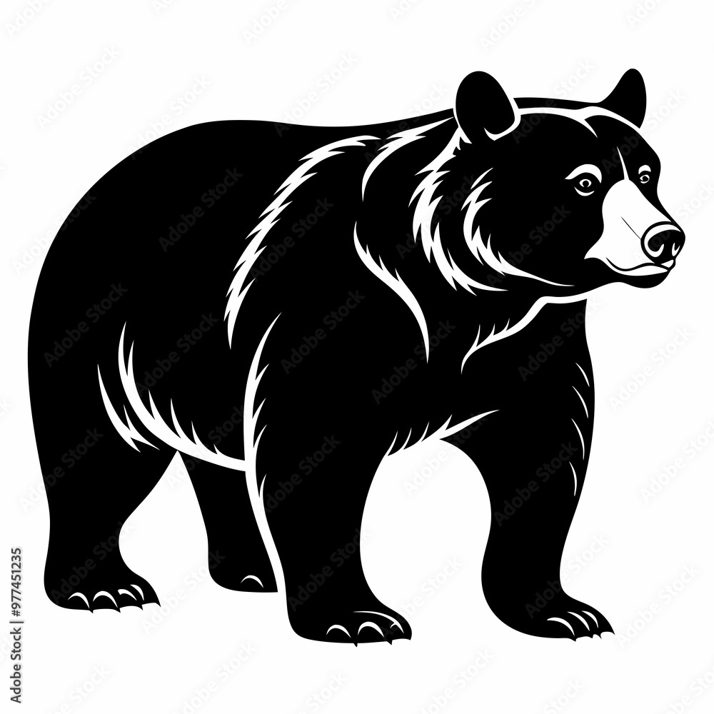 Bear Black vector silhouette Bear Black vector silhouette