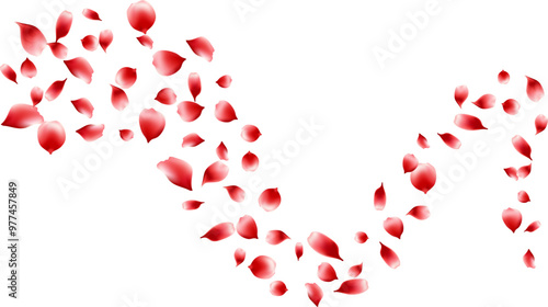 Nature floating rose petals flying decoration freshening ecology illustration