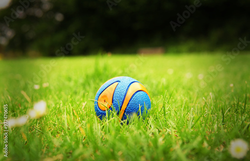 Closeup on a bouncy dog ball (blue and orange) on green grass in a park