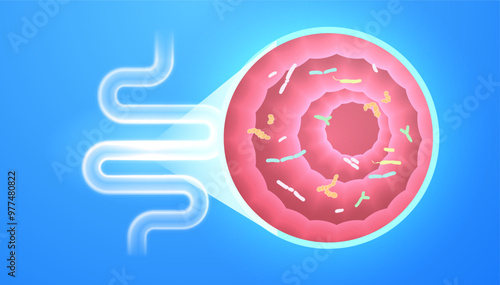 Gut Intestine Probiotic, microbiome human concept with healthy probiotic bacteria. Detailed close-up cross-section healthy intestine with good bacteria - medical banner