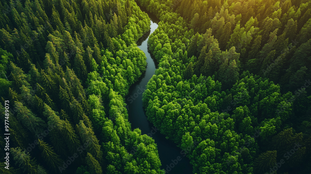 Vibrant Aerial View of Green forest and Winding Rivers with Patchwork Farmlands. Vibrant Aerial View of Green forest and Winding Rivers with Patchwork Farmlands.