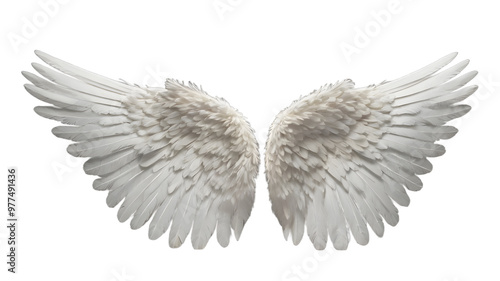 White angle wings isolated on transparent, white background