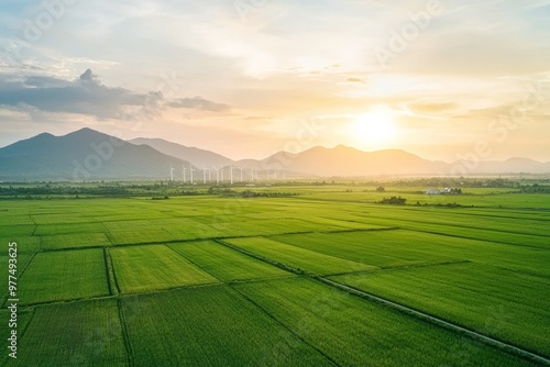 An aerial view of a wind farm or wind park with high wind turbines for generating electricity. An example of green energy. Ninh Thuan, Vietnam.