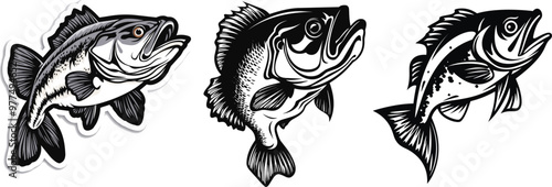 Hand Drawn Bass Fish Engraving -Wildlife of Lakes and Rivers