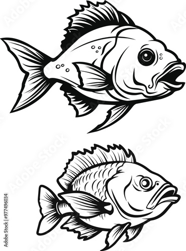 Detailed Hand Drawn Black and White Snapper vector Illustration.