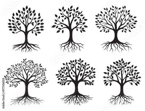 Tree silhouette set vector art, Black silhouette of a majestic tree with intricate roots and full foliage, isolated on white background