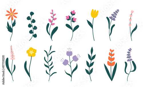 Vector flower collection in simple elegant modern hand drown style. Colorful cute spring flowers set isolated on white. Floral botanical illustration, natural blossom, blooming.