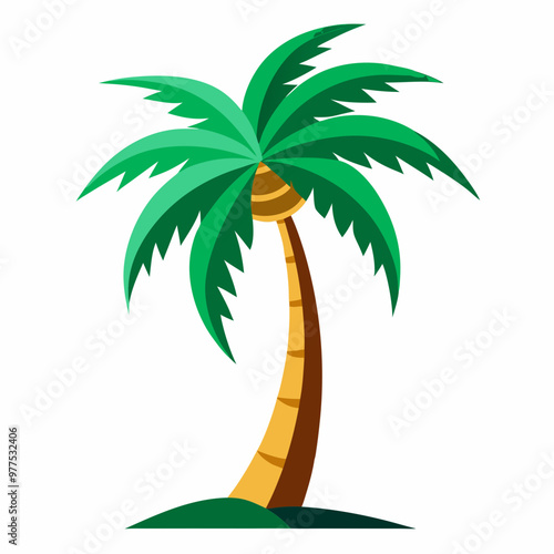 palm tree illustration