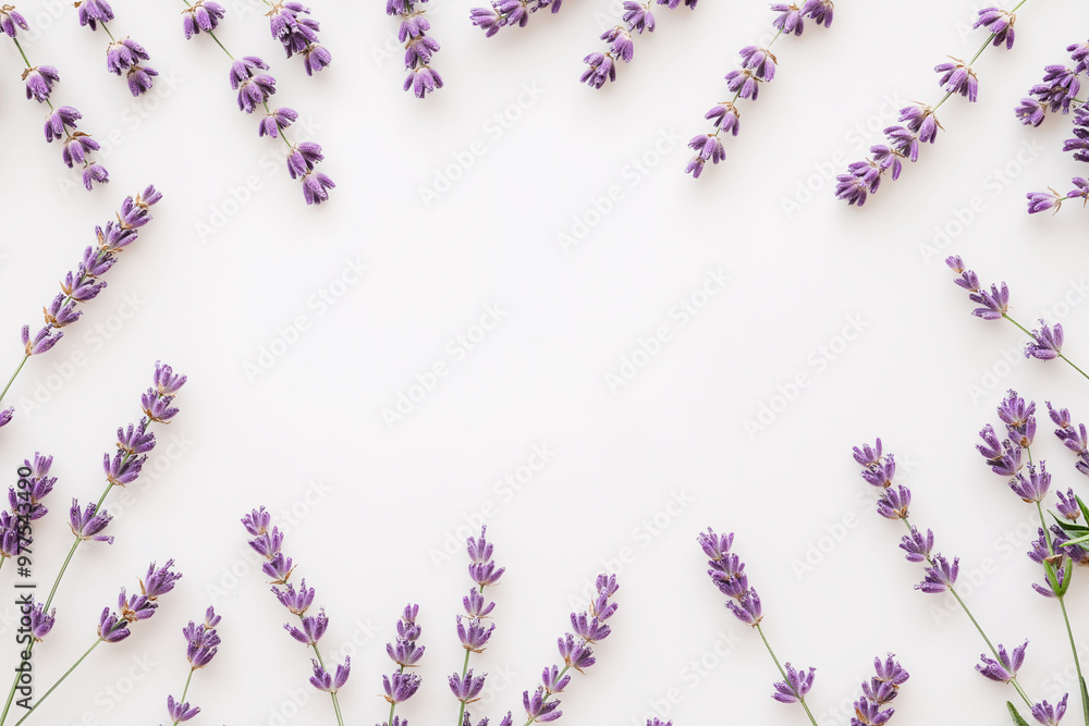 Pink Lavender flowers and leaves creative frame on white background Top view flat lay Floral composition and design Healthy eating and alternative medicine concept. Pink Lavender flowers and leaves creative frame on white background Top view flat lay Floral composition and design Healthy eating and alternative medicine concept.