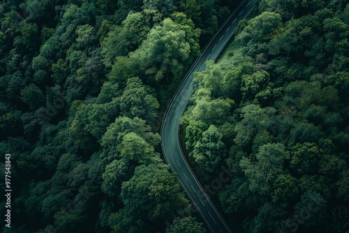 A winding road through a forest with trees on both sides