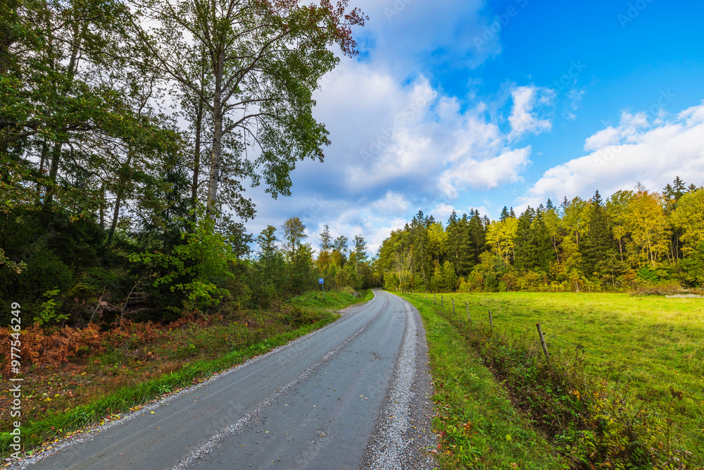 Fototapeta premium Rural asphalt road through forest and field in early autumn with vibrant green and yellow foliage. Sweden.