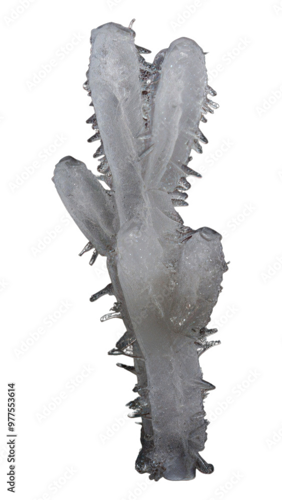 PNG Outdoors crystal nature snow. PNG Outdoors crystal nature snow.