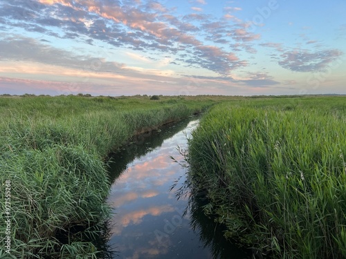 Landscape of beautiful estuary river nature reserve at Walberswick, Southwold, Suffolk uk, with green reeds growing on sandy bank in early evening light with blue pink Summer skies peaceful no people