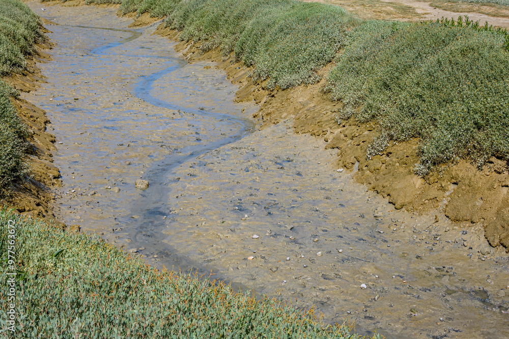 Réserve Naturelle Nationale de la Baie de Somme vue depuis Le Hourdel Réserve Naturelle Nationale de la Baie de Somme vue depuis Le Hourdel