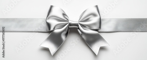 The Elegant Silver Bow photo