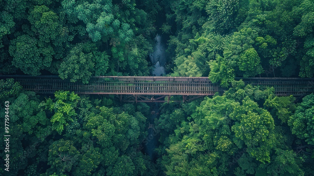Aerial View of a Wooden Bridge in a Lush Forest Aerial View of a Wooden Bridge in a Lush Forest