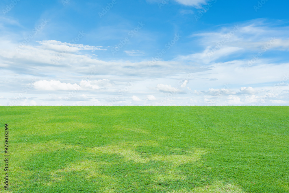 Landscape view of Green grass field under the blue sky background Landscape view of Green grass field under the blue sky background