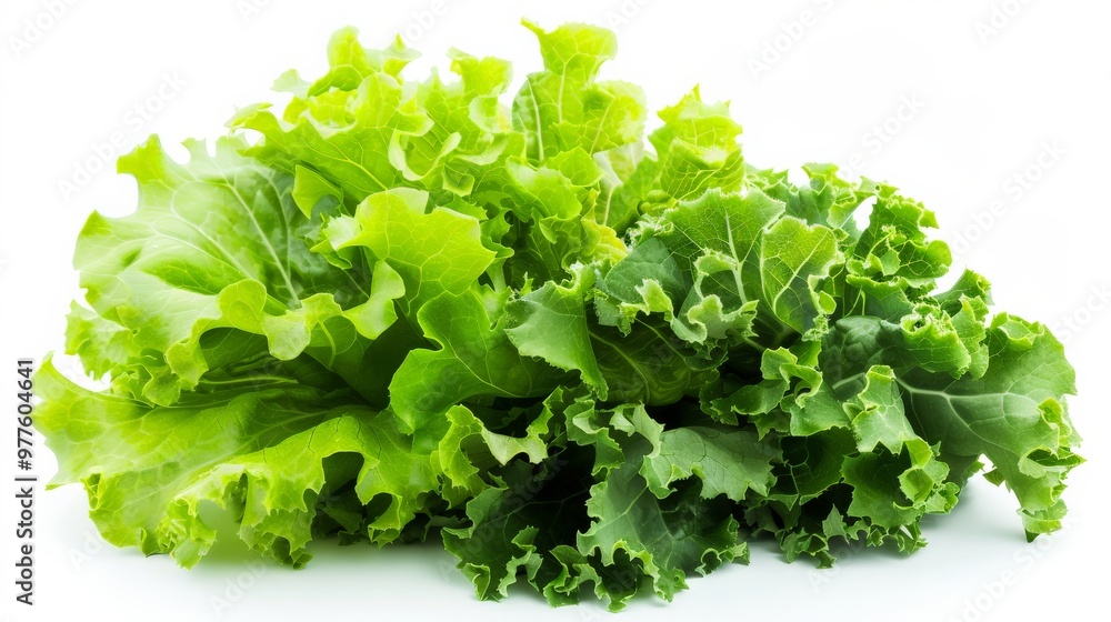 Fresh green leafy vegetable bundle on a white background Fresh green leafy vegetable bundle on a white background